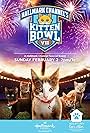 Kitten Bowl VII (2020)