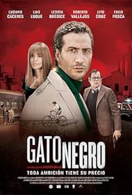 Gato negro (2014)