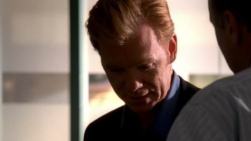 David Caruso in CSI: Miami (2002)