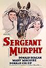 Sergeant Murphy (1938)