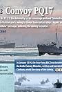 PQ17: An Arctic Convoy Disaster (2014)