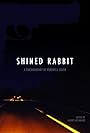 Shined Rabbit (2016)