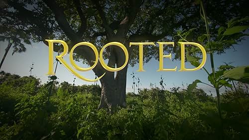 The first season of 'Rooted' tells the story of five iconic trees found in Southern Africa, and focusses on all the life that visits them.