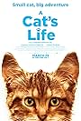 A Cat's Life (2023)