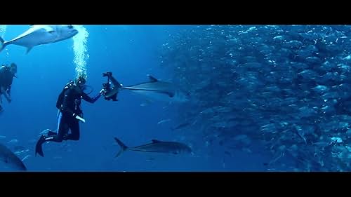 Explore the lives of nine women from around the world who share a passion for the ocean.