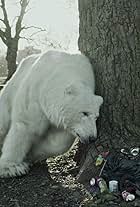 The Homeless Polar Bear (2012)