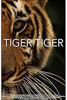 Tiger Tiger (2015)