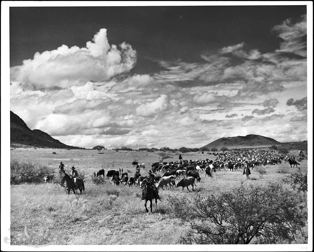 John Wayne in Red River (1948)