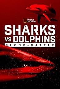 Primary photo for Sharks vs. Dolphins: Blood Battle