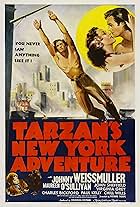 Tarzan's New York Adventure