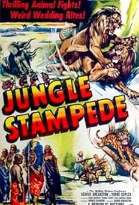 Primary photo for Jungle Stampede