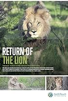 Return of the Lion (2016)