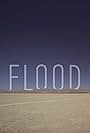 Flood (2012)