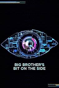 Big Brother's Bit on the Side (2011)