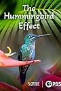 The Hummingbird Effect (2023)