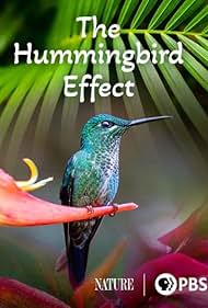 The Hummingbird Effect (2023)