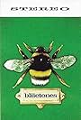 The Bluetones: Slight Return (1996)