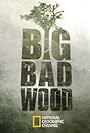 Big Bad Wood (2013)