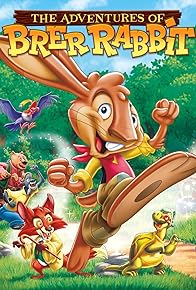 Primary photo for The Adventures of Brer Rabbit