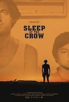 Sleep of the Crow