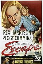 Rex Harrison and Peggy Cummins in Escape (1948)