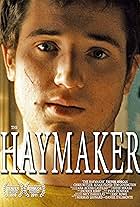 The Haymaker