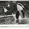 Lori Petty, Jason James Richter, and August Schellenberg in Free Willy (1993)