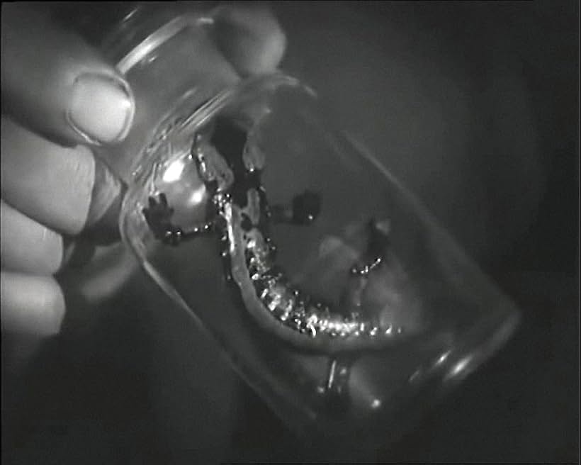 Salamander (1928)