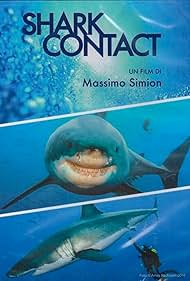 Shark Contact (2013)