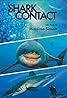 Shark Contact (2013) Poster