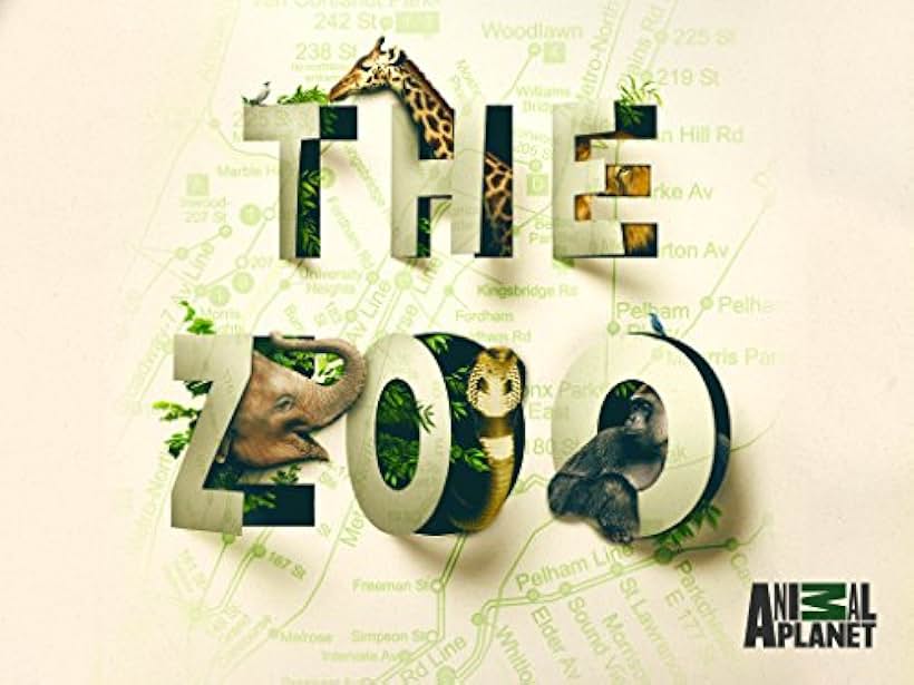 The Zoo (2017)