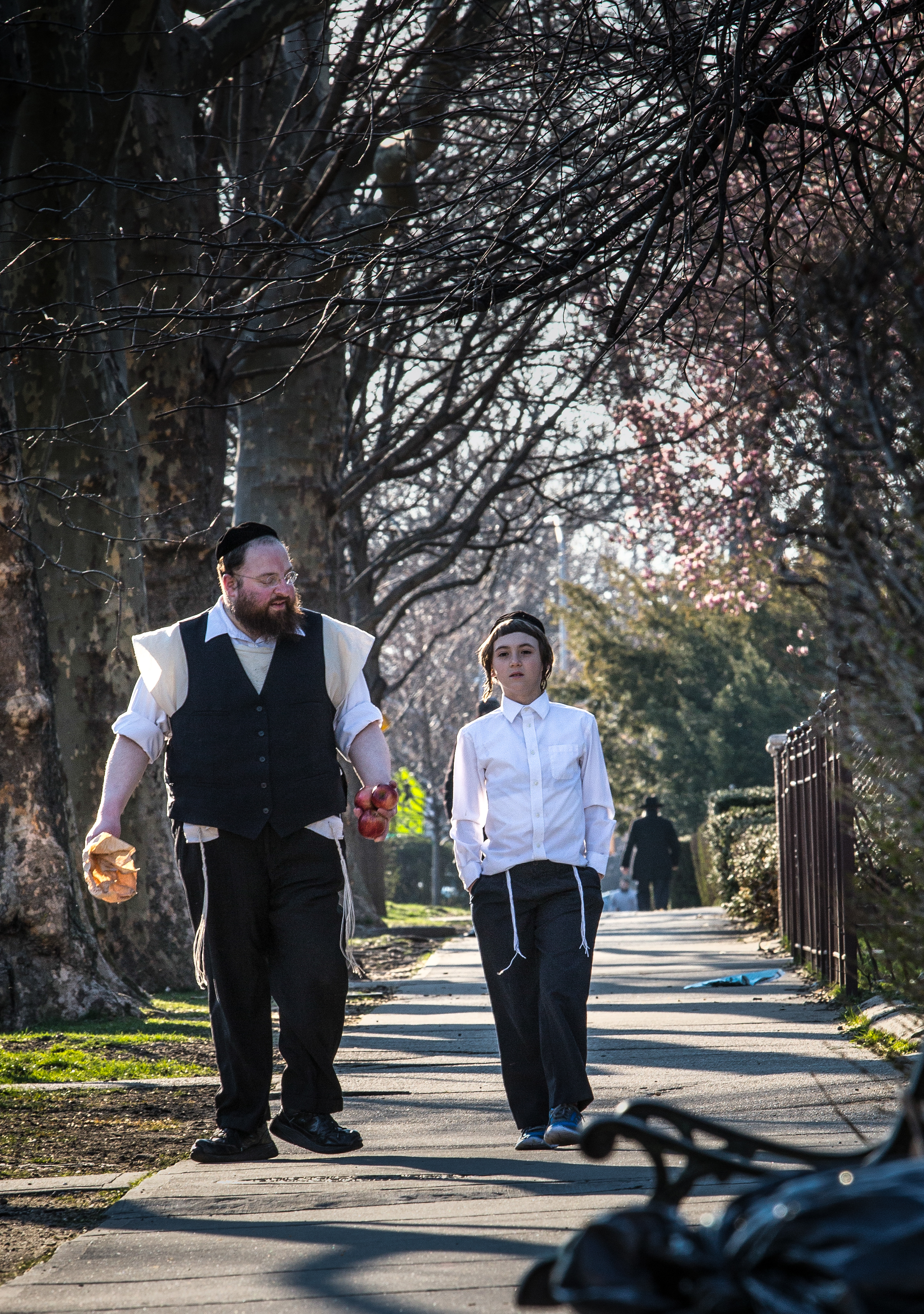 Menashe (2017)