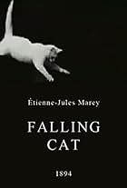 Falling Cat (1894)