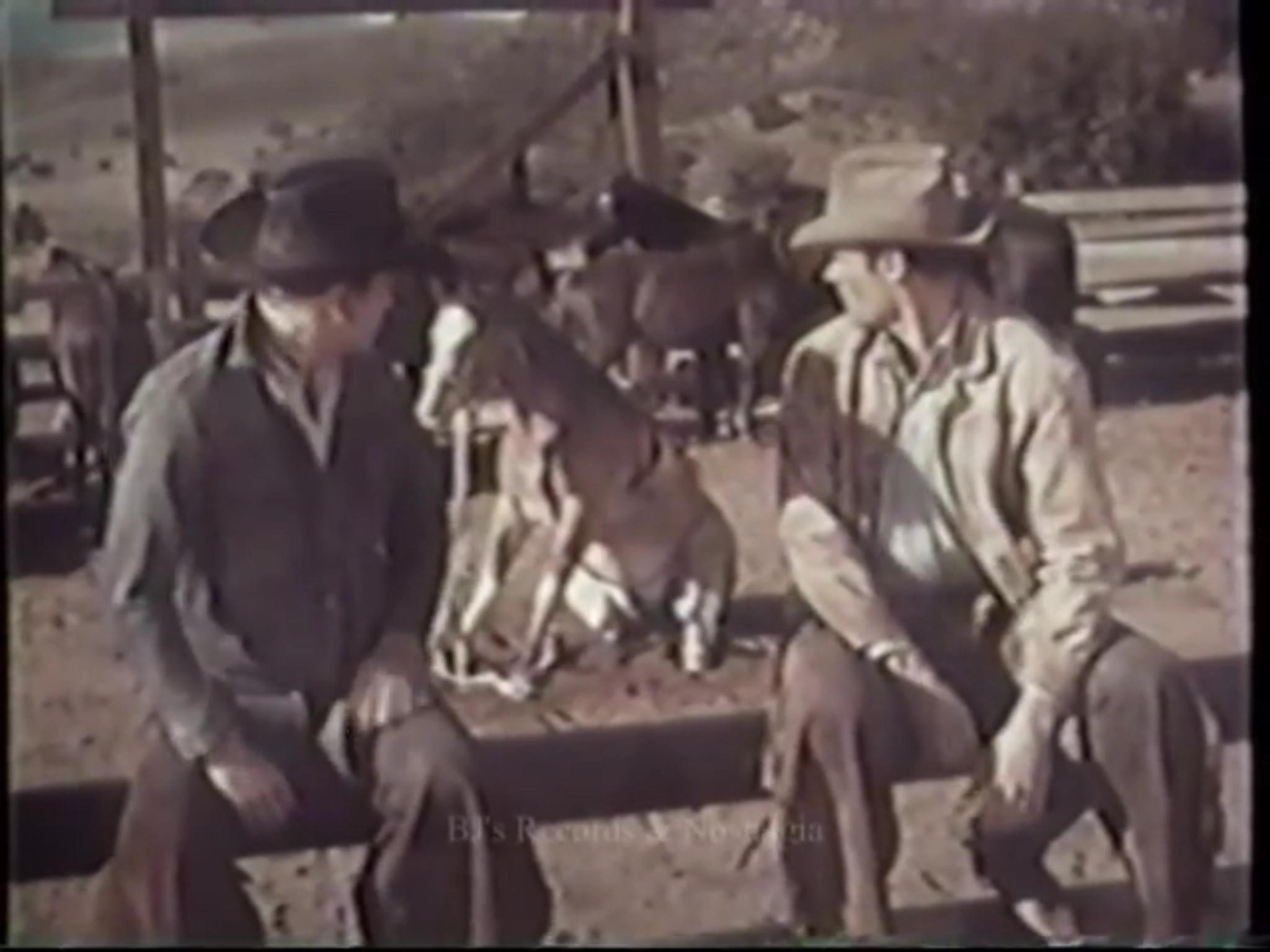 Ron Hayes and Patrick Wayne in The Rounders (1966)