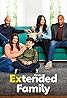 Extended Family (TV Series 2023–2024) Poster