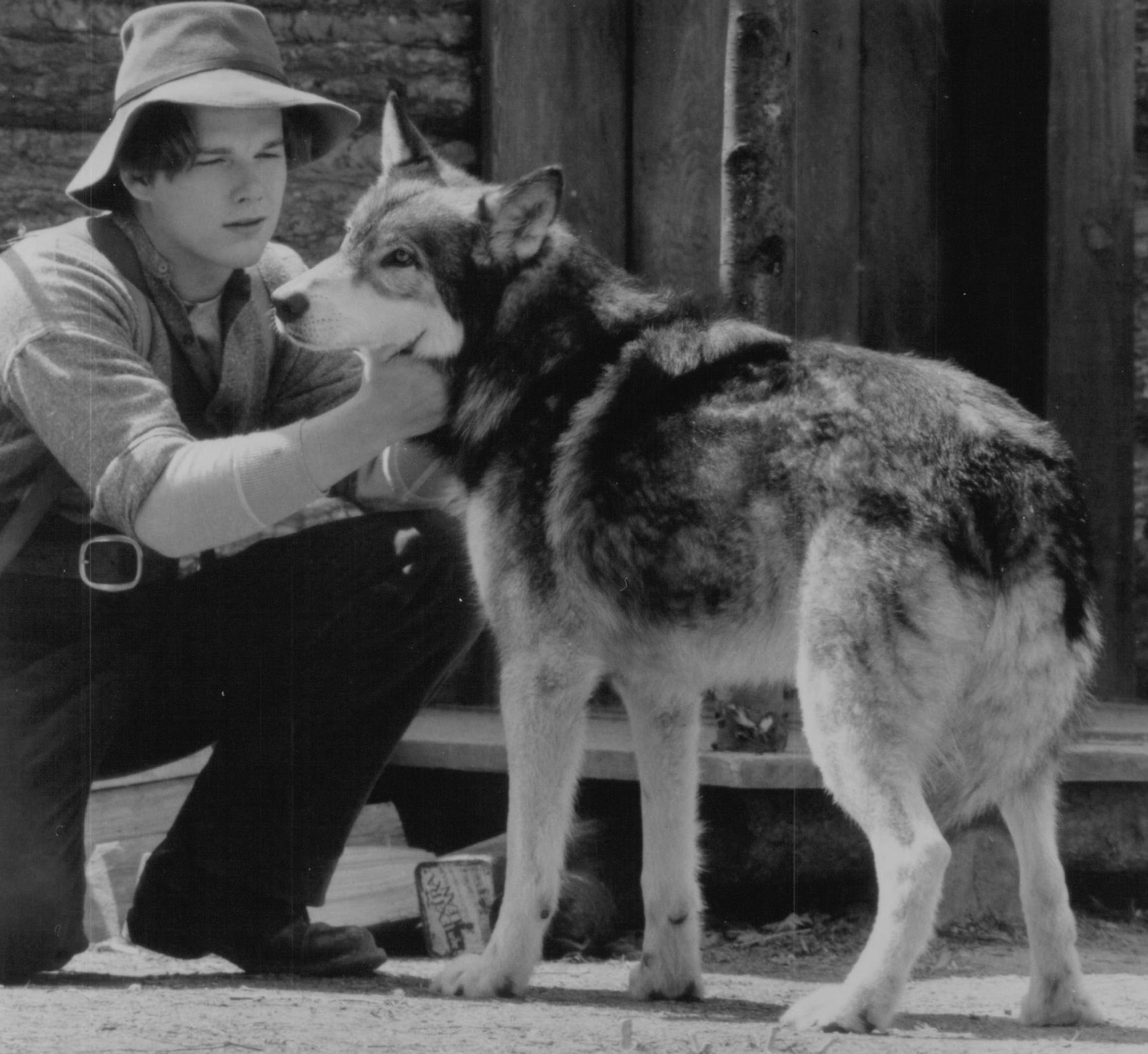 Ethan Hawke and Jed in White Fang (1991)