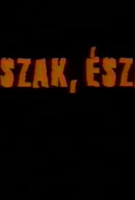 Primary photo for Észak, észak