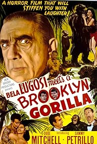 Primary photo for Bela Lugosi Meets a Brooklyn Gorilla