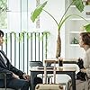 Kim Sung-ryung and Lee Min-ki in Byuti Insaideu (2018)