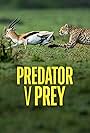 Predator v Prey (2024)