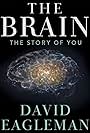 The Brain with Dr. David Eagleman (2015)