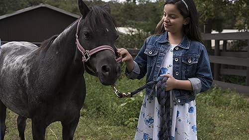 Ponysitters Club (2017)