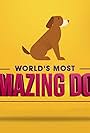 World's Most Amazing Dog (2019)