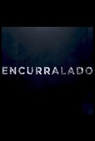 Primary photo for Encurralado