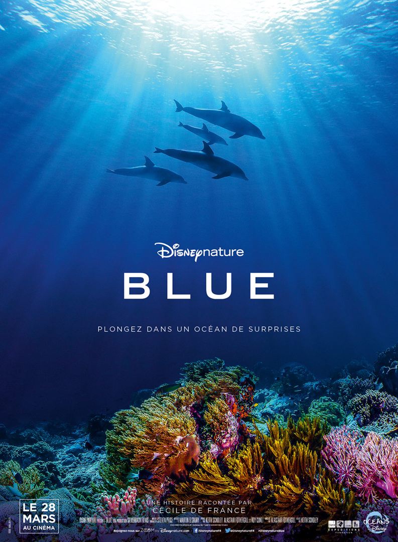 Dolphin Reef (2018)