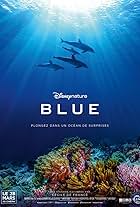 Dolphin Reef (2018)