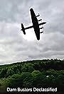 Dam Busters Declassified (2010)