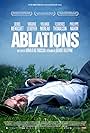 Ablations (2014)