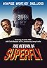 The Return of Superfly (1990) Poster