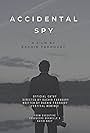 Accidental Spy (2016)